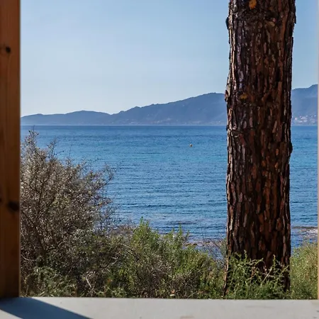 호텔 La Maison De Simon Pietrosella